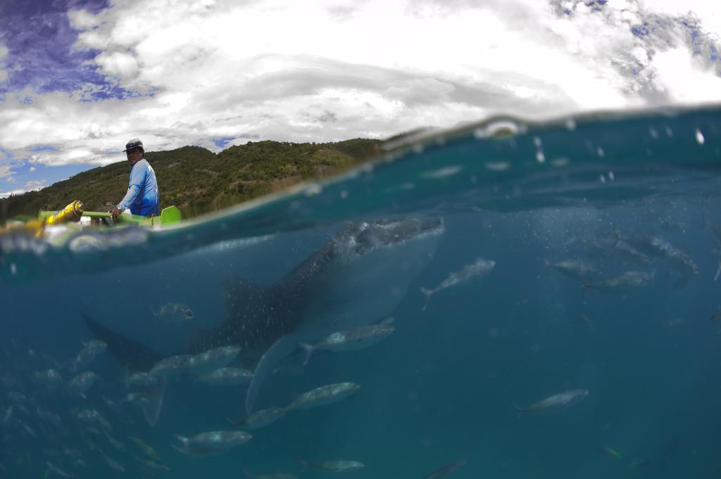 Sampaguita Resort モアルボアル エクステリア 写真